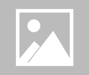 开云体育-姚明巴特勒联手斗牛！30分钟激战引爆胜负悬念，姚明巴特勒联手斗牛，30分钟激战悬念拉满